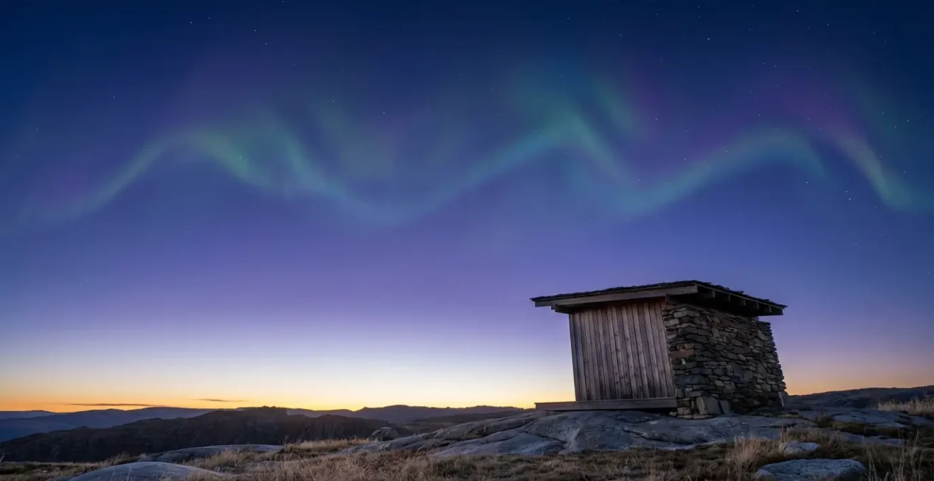 Paisaje nocturno minimalista con ondas cerebrales sutiles en el cielo estrellado